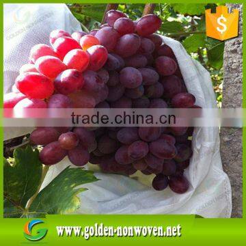 100% Polypropylene Nonwoven Fabric Agriculture Spunbond Nonwoven Fabric for Fuit Protect photo-6
