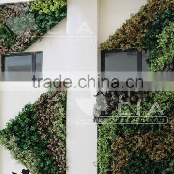 Hot Sale Hotel Project Artificial Plant Green Wall photo-3