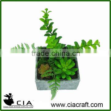 PVC Mini Artificial Small Potted Aloe Plant Garden for Wholeselling