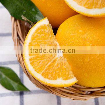 Navel Orange for sale