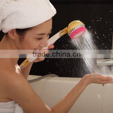 sonic beauty brush and facial , body brush