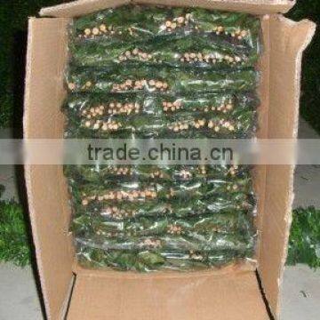 animal breeding fence 2013 low price supply all kinds of garden fence gardening