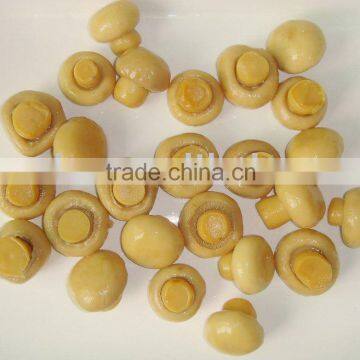 Top Quality Canned Mushroom photo-2
