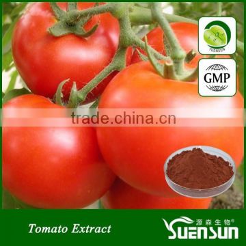 Pure natural tomato extract lycopene alibaba gold supplier tomato lycopene