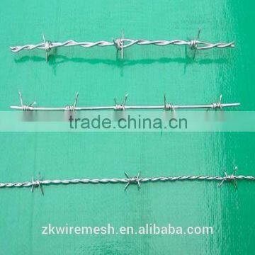 Galvanized Barbed Wire(BWG 12x14, BWG 16x16) photo-5