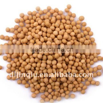 soybean