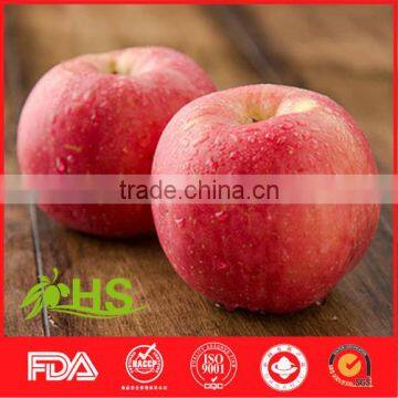 Chinese Fresh Honey Fuji Apple Market Price