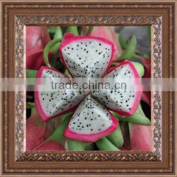 Fresh Dragon Fruit