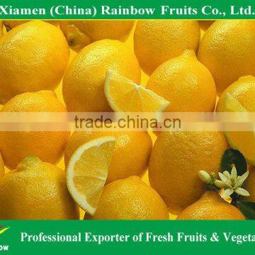 Fresh Chinese Lime/lemon