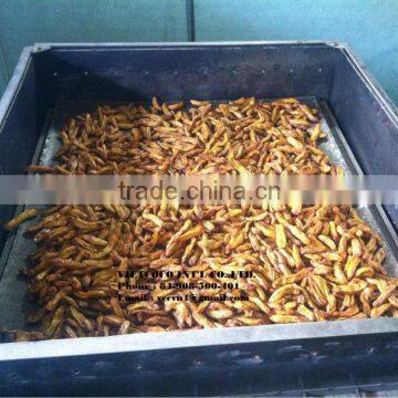 Sun Dried Bananas photo-3