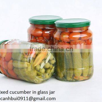 pickled cucumber mixed with cherry tomato in jar fof export