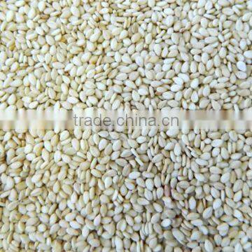 HULLED SESAME SEEDS