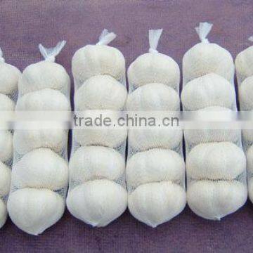 Well-chosen top quality dehydrated pure white garlic in carton