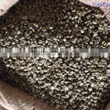 VIETNAM WET POLISHED ROBUSTA COFFEE BEANS S16(+841657106604 - WHATSAPP) photo-5