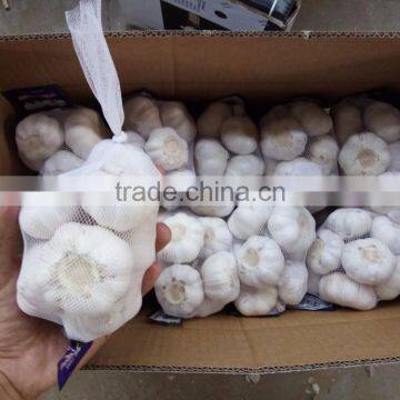 YUYUAN Brand Hot Sail Fresh Garlic 3p Chinese Garlic