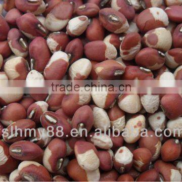 Northeast China speckled cowpea