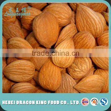 Conventional Sweet Apricot Kernel Seeds