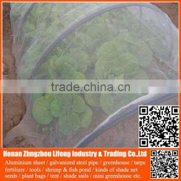 Best Selling 20/30/40/50 Mesh Hdpe Plastic Agriculture Greenhouse Vegetable and Fruit Anti-insect Net , Nylon Insect Net photo-4