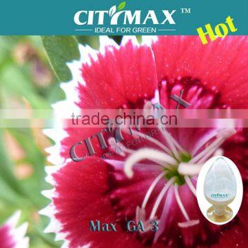 HOT!!! Gibberelic Acid Powder for Sale