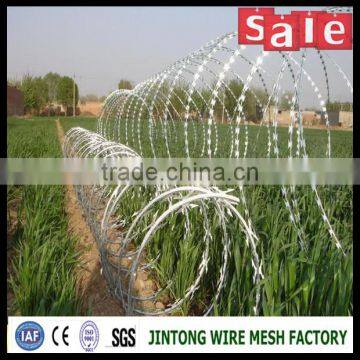 Price Concertina Razor Barbed Wire With Pallet photo-6