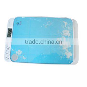 UV Ultraviolet Family Toothbrush Sanitizer Sterilizer Cleaner Disinfector photo-2