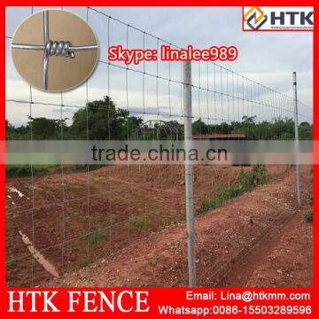 Sheep Wire Fence Panels photo-4
