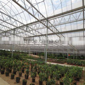 Polycarbonate Sheet Greenhouse photo-2