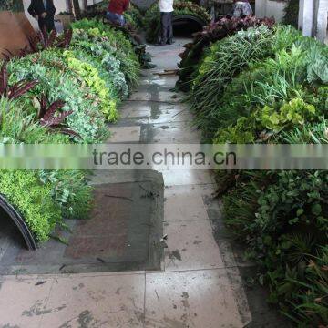 High Technique Fake Grass Wall Evergreen Artificial Grass Wall photo-4