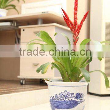 HIGH QUALITY Home Removable Metal Flower Shelf Plant Trolley Wheel Flower Shelf photo-5