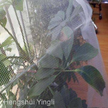 Cheap 18x16 Mesh Fiberglass Window Screen/galvanized Window Screen photo-5