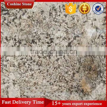 2cm Juparana Antique Persa Brown Granite Slab photo-4