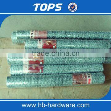 Chicken coop hexagonal wire