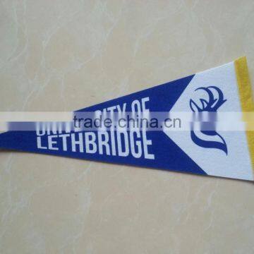 Double Side Printing Pennant photo-4