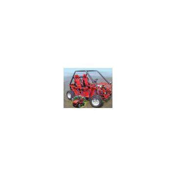 China (Mainland) 800CC Dune-Buggy
