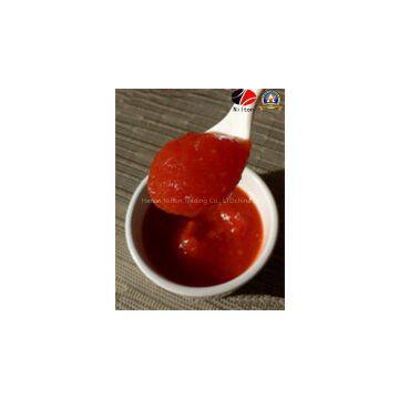 Aseptic Chinese Nilton Delicious Tomato Paste Ketchup photo-2