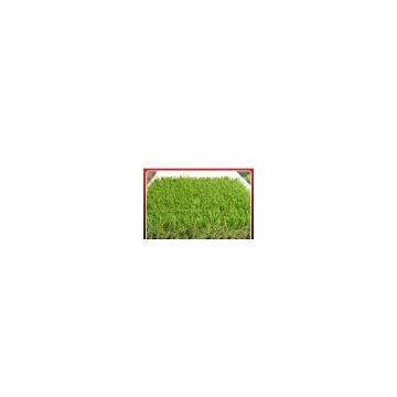 landscaping grass