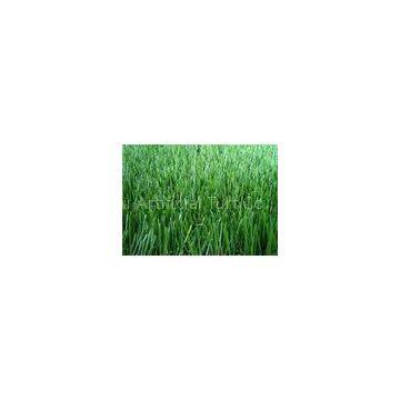 Natrual Baseball Playground Sports Artificial Turf Grass Height 32mm , 50mm