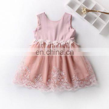 Blush Rustic Girl Tulle Dress Lace Sleeveless Toddler Dress Embroidery Birthday Outfit