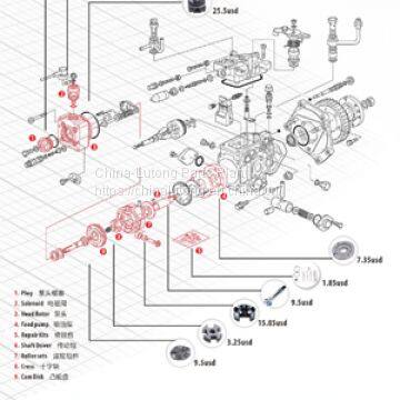 diesel engine rebuild kits,fuel injection pump repair F00RJ02176