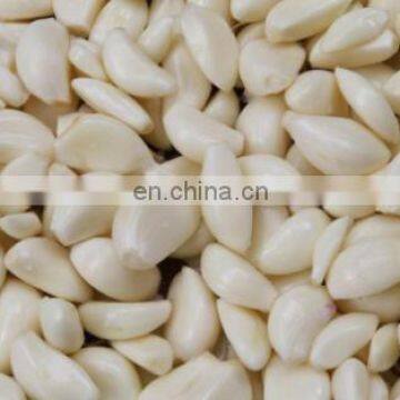 Electric Automatic Small Garlic Peeler Machine Garlic Peeling Machine photo-5