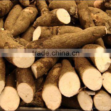 Best Quality of Fresh Cassava Tapioca From Vietnam photo-2
