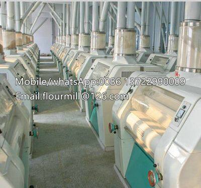 complete set wheat flour mill, maize flour processing machine, corn breakfast meal machine