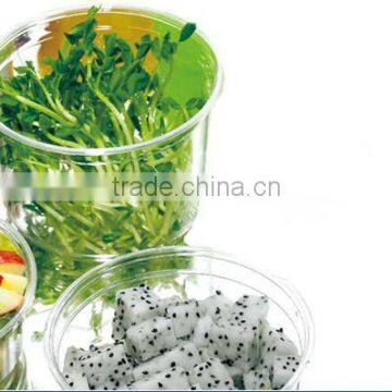 16oz transparent food container