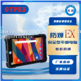 Hangzhou Yingpeng explosion-proof flat panel