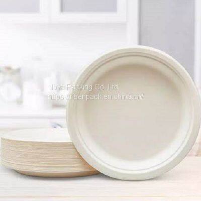 Biodegradable Sugarcane Bagasse Pulp Tableware photo-2