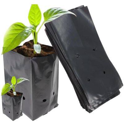 PE Black Plastic Nursery Bags Plant Grow Bag Seedling Pots Sapling Cultivation Bag With Holes For Garden