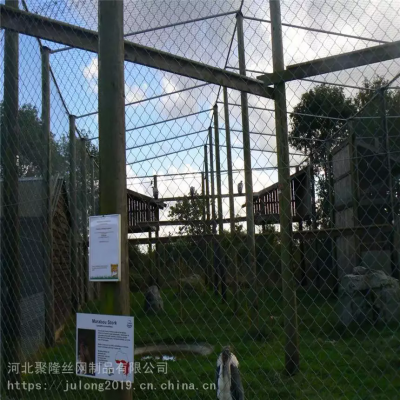 Zoo Netz/Gefiederviehnetz aus Edelstahl/Vogelhausnetz/Drahtseilnetz aus Edelstahl/Netz photo-5