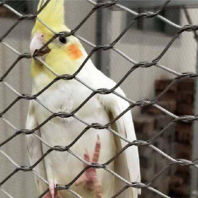 Stainless Steel Rope Mesh Flexible Wire Rope Net for Balustrade & Zoo Fencing