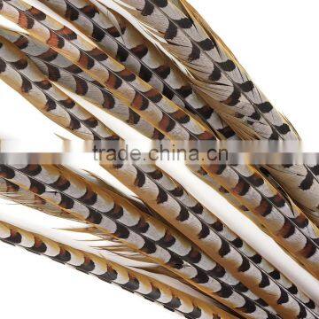 Factory Supply 100-110cm Natural Craft Reeves Pheasant Tail Feather