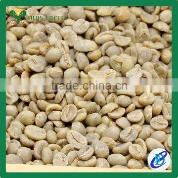 Best Price Arabica Green Coffee Beans photo-6